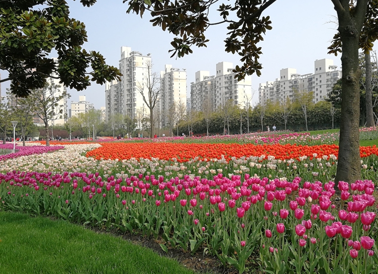 山西省大寧縣應(yīng)急廣播系統(tǒng)建設(shè)項目