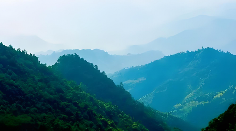 森林防火預(yù)警方案